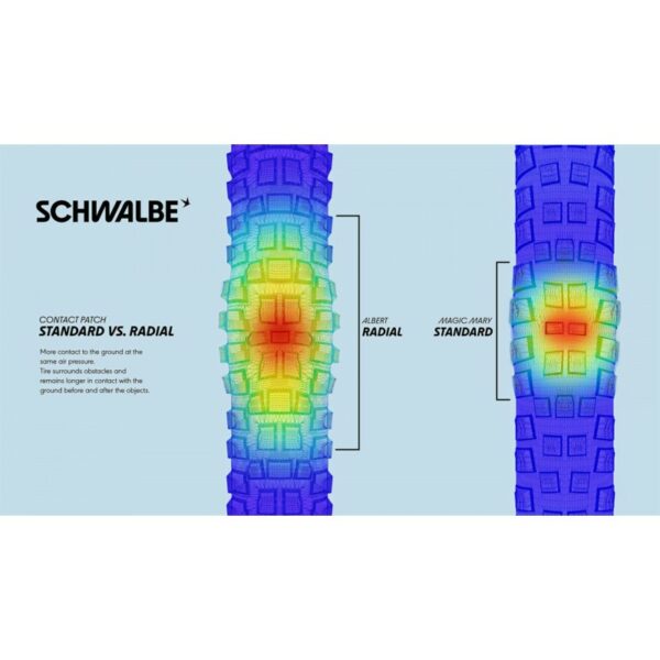 Nouveau : Pneu VTT Schwalbe Albert Gravity Radial – Image 3