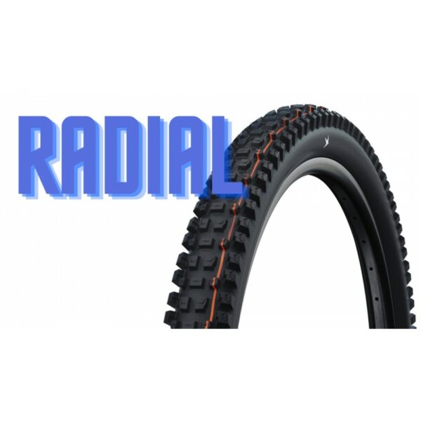 Pneu VTT Schwalbe Albert Radial